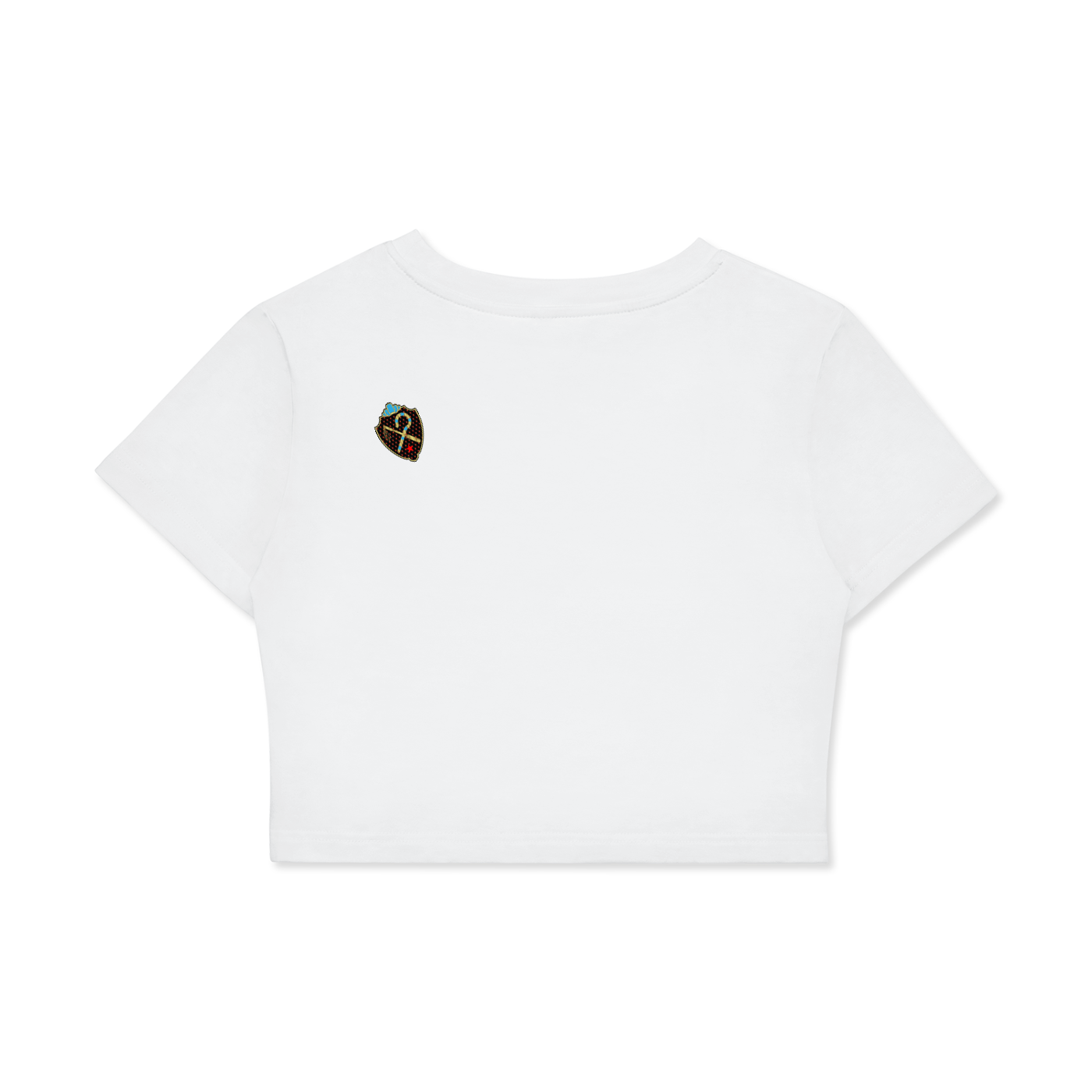FLZ Crop T-Shirt